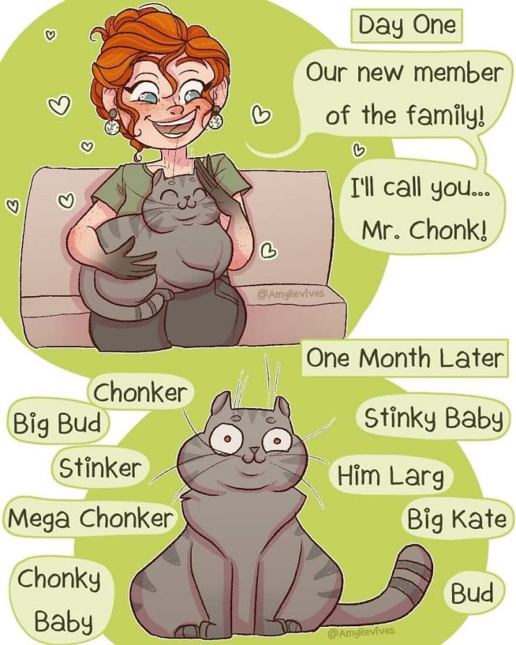 This image has an empty alt attribute; its file name is 1-27-819x1024.jpg