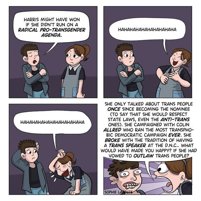 Sophie Labelle Comics