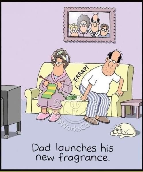 Hilarious Old Couple Cartoons