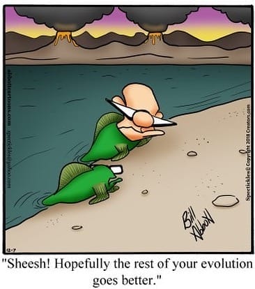 Bill Abbott Cartoons