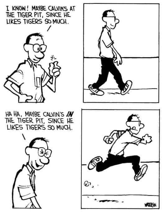 Calvin and Hobbes Cartoons