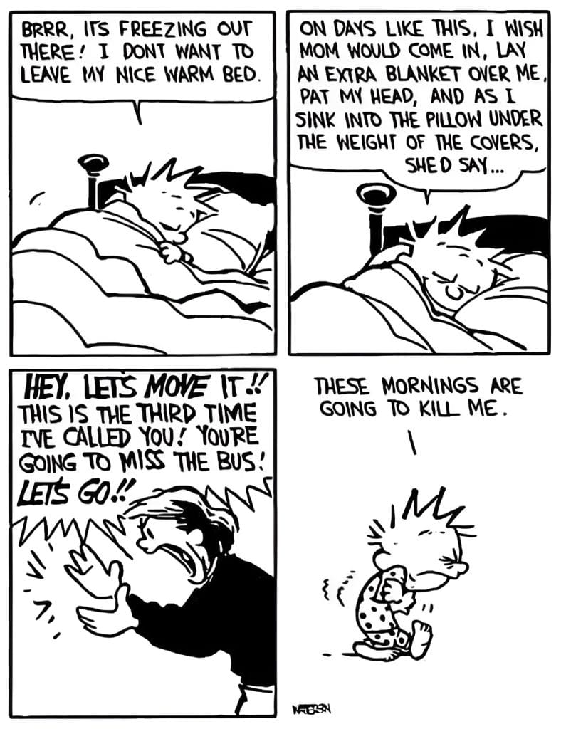 Calvin and Hobbes Comics