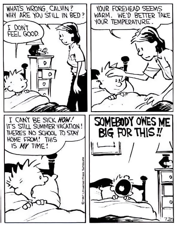 Calvin and Hobbes Comics