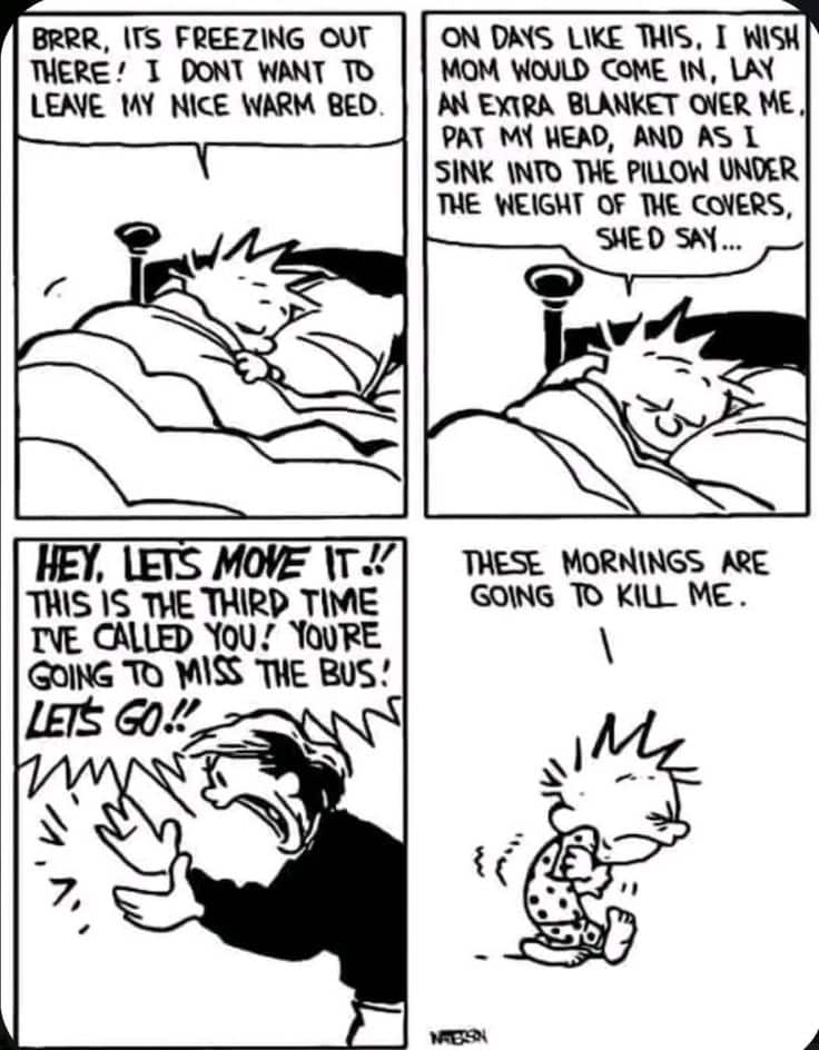Calvin and Hobbes Cartoons