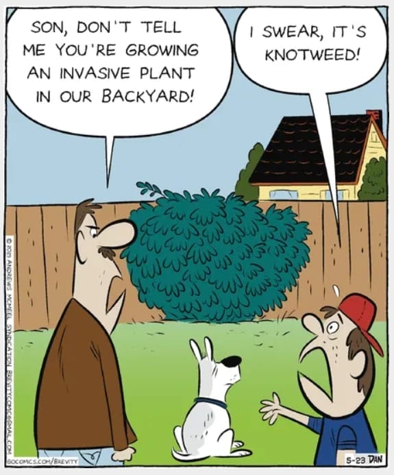 Brevity daily cartoons