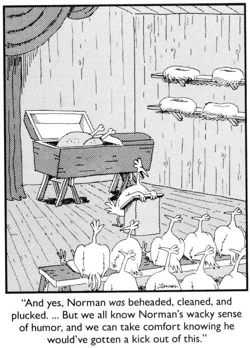 Best of The Far Side Comics