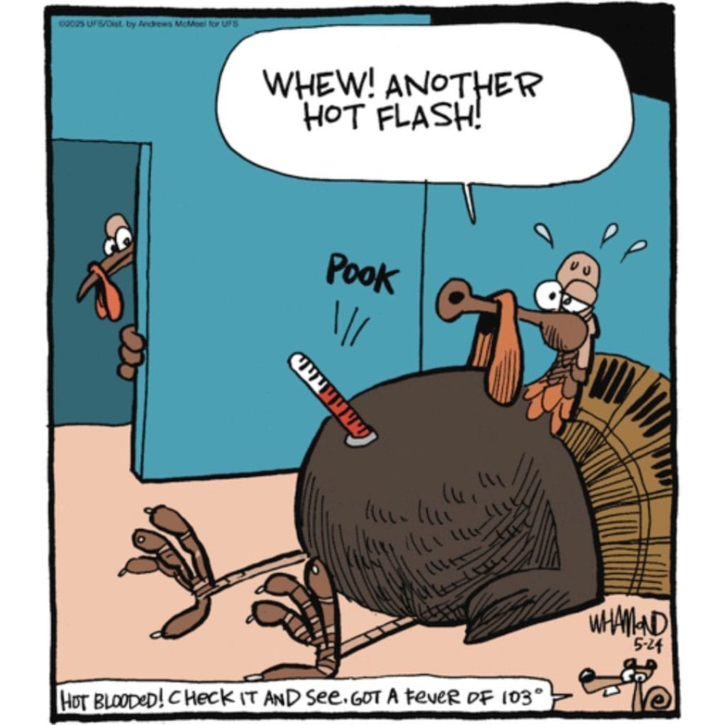 Witty Humor Cartoons