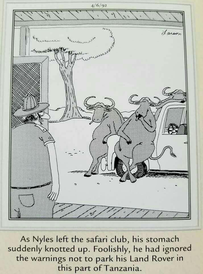 Best Far Side Comics