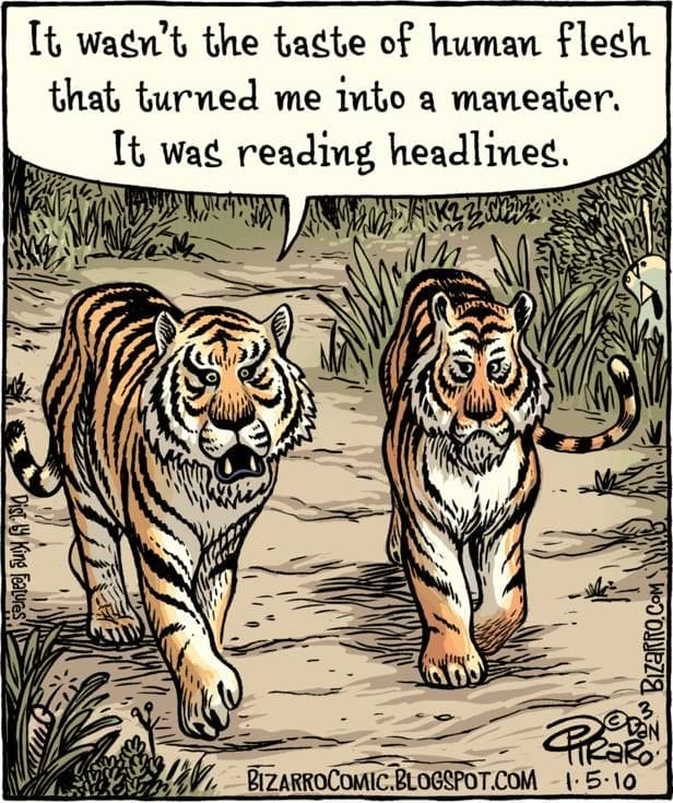 Single Panel Cartoons