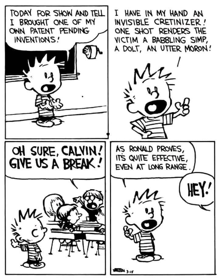 Calvin and Hobbes Comics