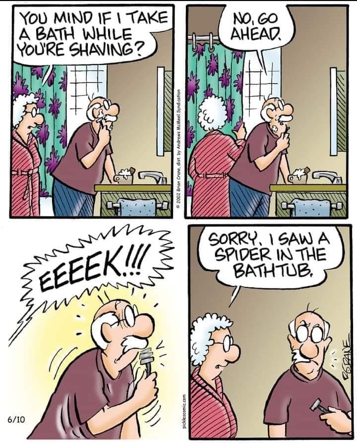 Grandparent Comics
