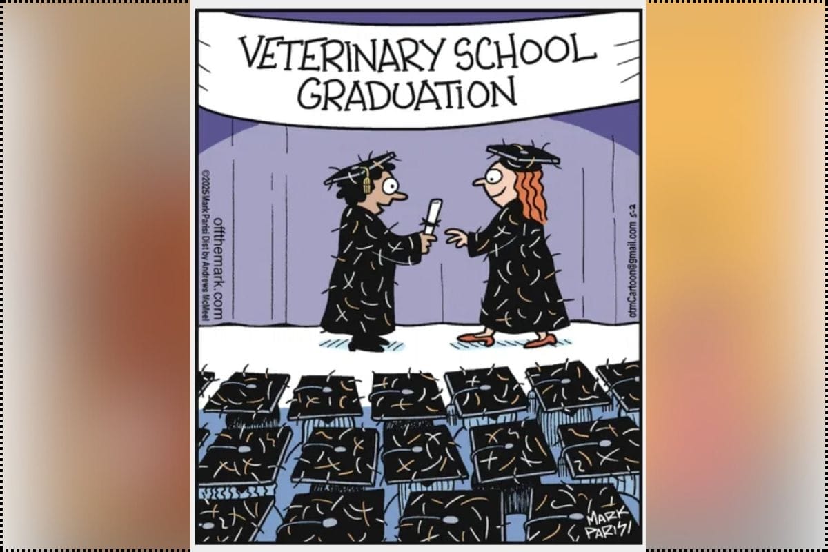 New Off the Mark comics 2025