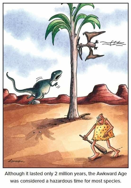 New Far Side Humor