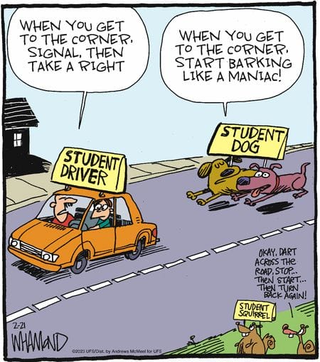 Today Witty Cartoons