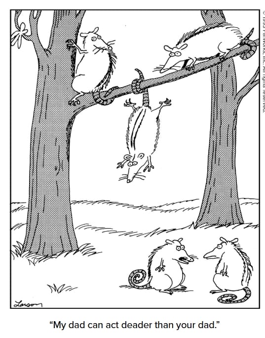 Best of The Far Side Cartoons