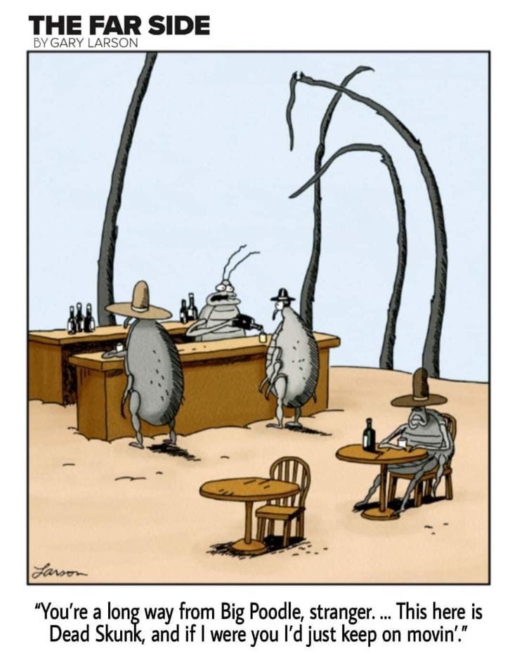 New Far Side Humor