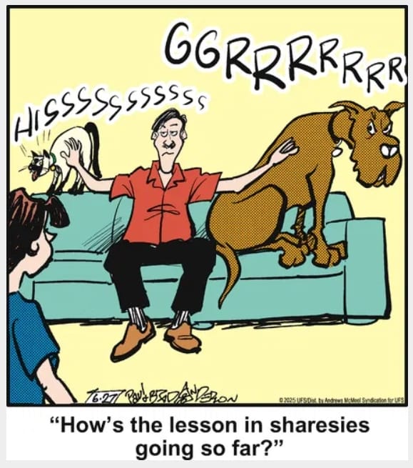 Funny Dog Cartoons