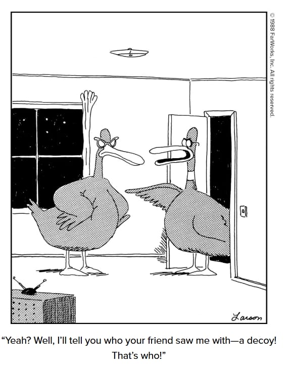 Best of The Far Side Cartoons