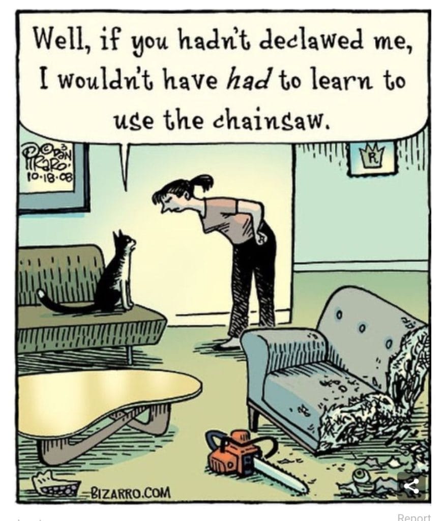 Top Hilarious Comics