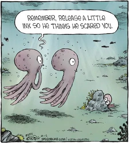 Everyday Life in Cartoons