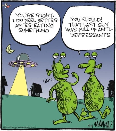 Witty Everyday Humor