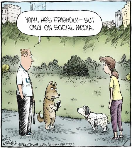 Everyday Life in Cartoons