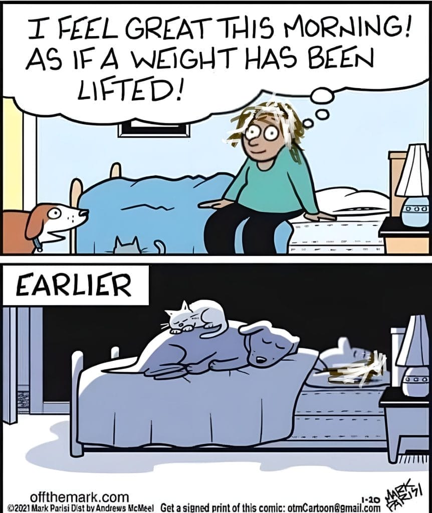 Witty Single Cartoons